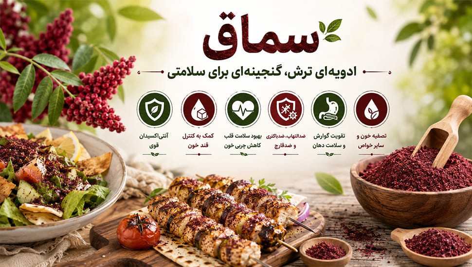 سماق، این ادویه‌ی ترش‌مزه و پرطرفدار